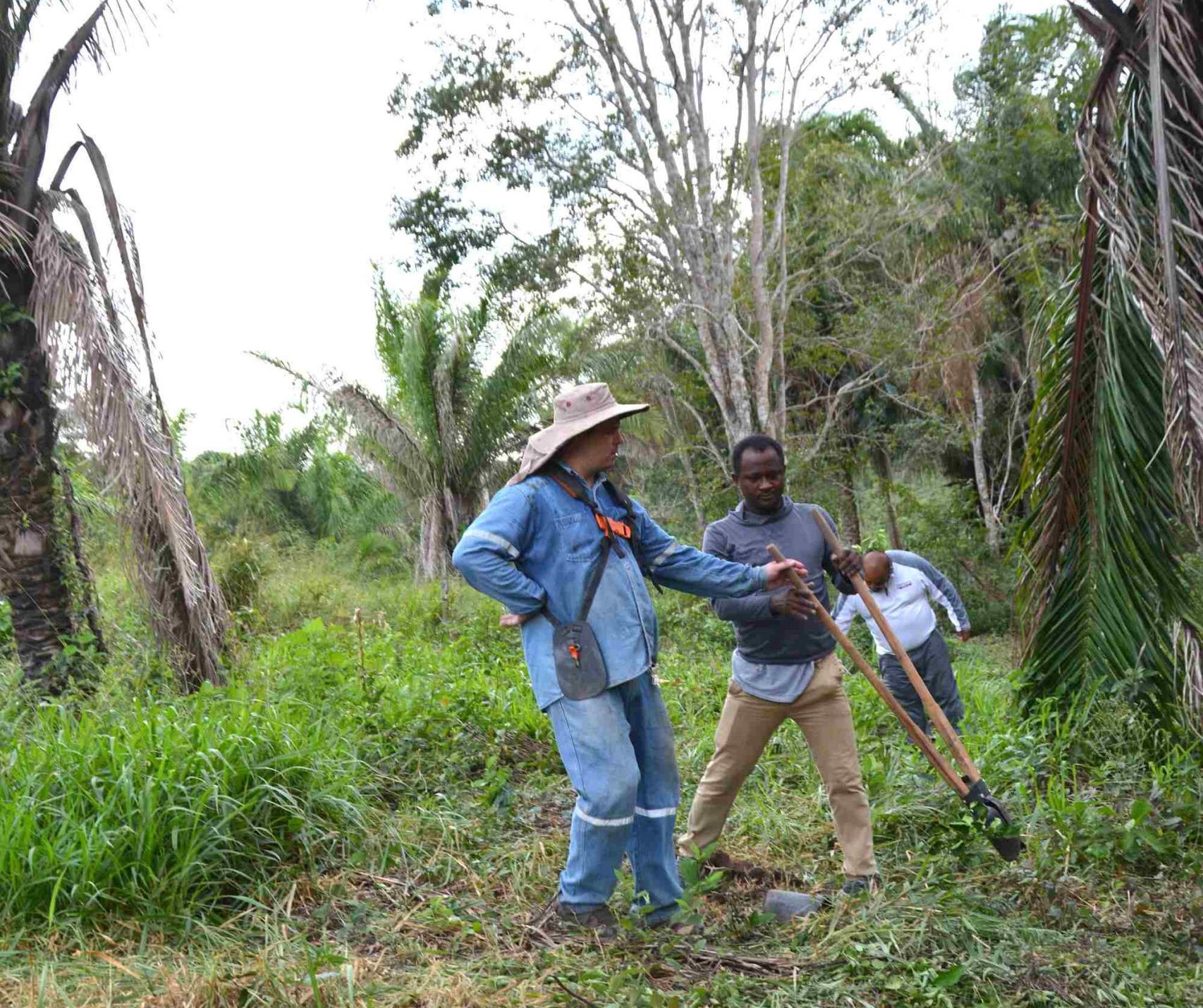 projet Bolivie cacao